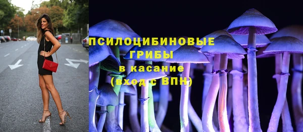стаф Санкт-Петербург
