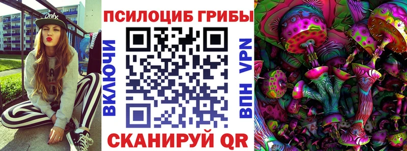 наркошоп  Кораблино  Галлюциногенные грибы Psilocybine cubensis 